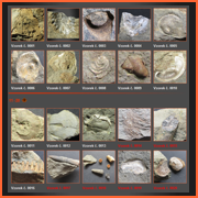Galerie fosílií - zobrazení v ikonách