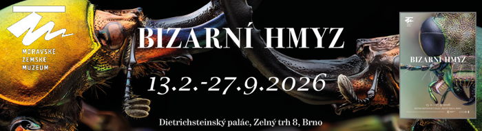 MZM Dietrichsteinský palác – Bizarní hmyz
