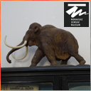 Moravské zemské muzeum v Brně - Zaniklý život na Moravě Moravské zemské muzeum v Brně - Zaniklý život na Moravě