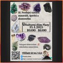 Plasy 13.4.2025